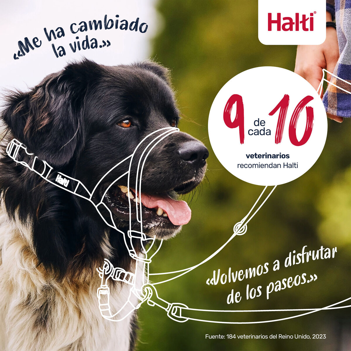 V4HA4A6B6F42AC89DE01D9579DCDE2CF37AR7523912P5